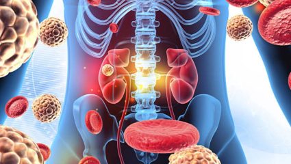 रमजान दरम्यान शरीरात वाढू शकते हायड्रेशनची समस्या! जाणून घ्या युरोलॉजिस्ट डॉक्टरांनी दिलेली सविस्तर माहिती