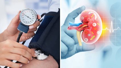 वाढता उच्च रक्तदाब Kidney करून टाकेल कायमची निकामी! विषारी घटक नैसर्गिकरित्या फिल्टर करण्यासाठी करा ‘हे’ सोपे उपाय