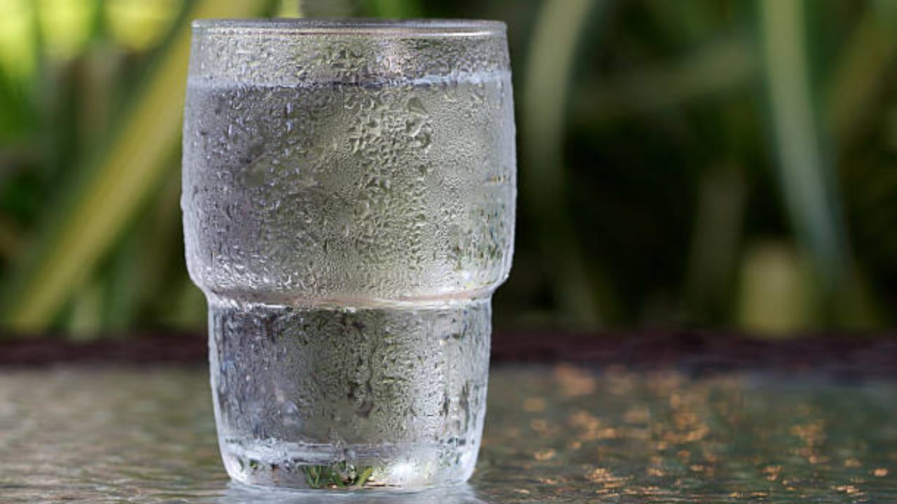 थंड पाण्याच्या सेवनामुळे घसा खवखवणे, सर्दी, खोकला किंवा डोके दुखी वाढण्याची शक्यता असते. सायन्सच्या त्रासाने त्रस्त असलेल्या लोकांनी थंड पाण्याचे सेवन अजिबात करू नये.