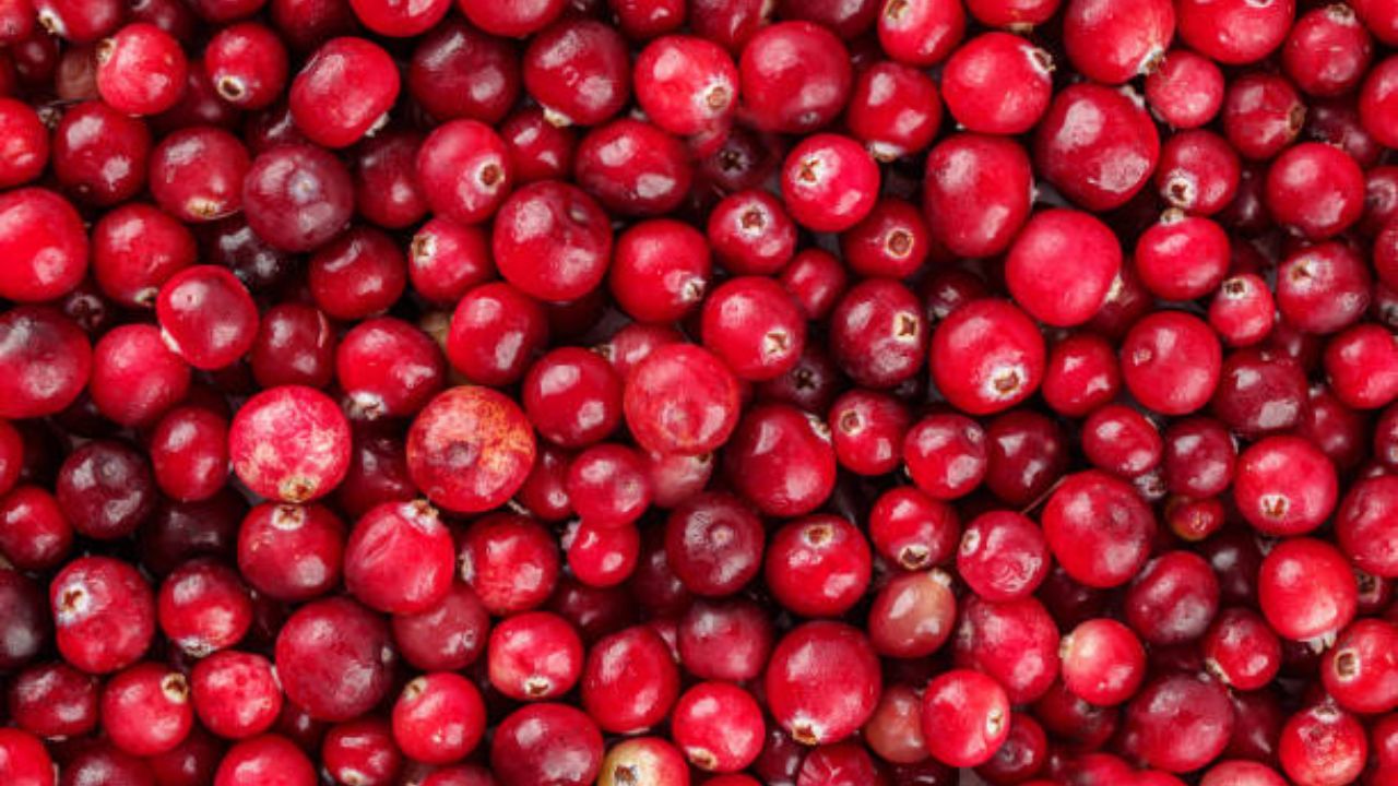 विटामिन सी आणि अँटीऑक्सिडंट्स शरीराची रोगप्रतिकारशक्ती मजबूत करण्यासाठी मदत करते. त्यामुळे सकाळी उठल्यानंतर एक ग्लासभर क्रॅनबेरीचा ज्यूस प्यावा. 