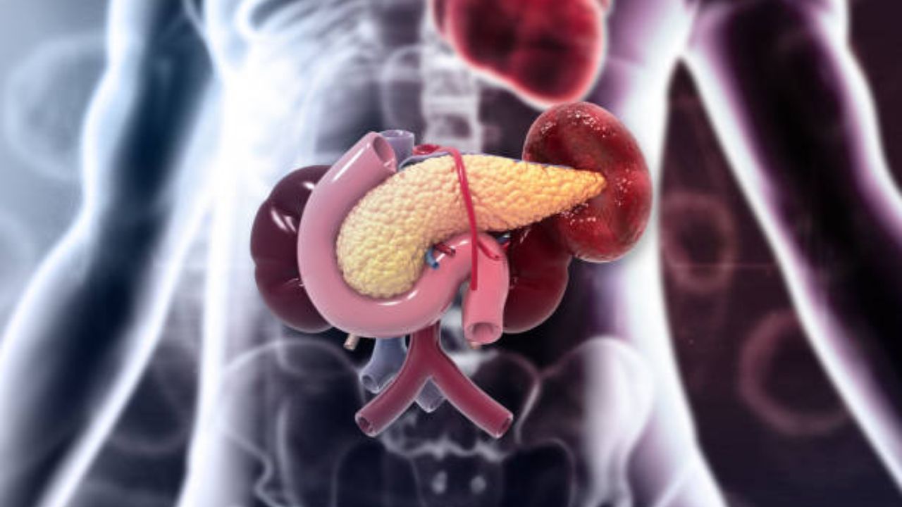 Appendix झाल्यानंतर शरीराच्या ‘या’ अवयवांमध्ये होतात असह्य वेदना, अपेंडिक्स फुटू नये म्हणून करा घरगुती उपाय