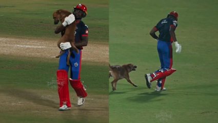 सामन्यादरम्यान मैदानावर आला कुत्रा, खेळाडूने फलंदाजी सोडली अन् खाद्यांवर सोडून आला कुत्र्याला! सोशल मिडियावर Video Viral