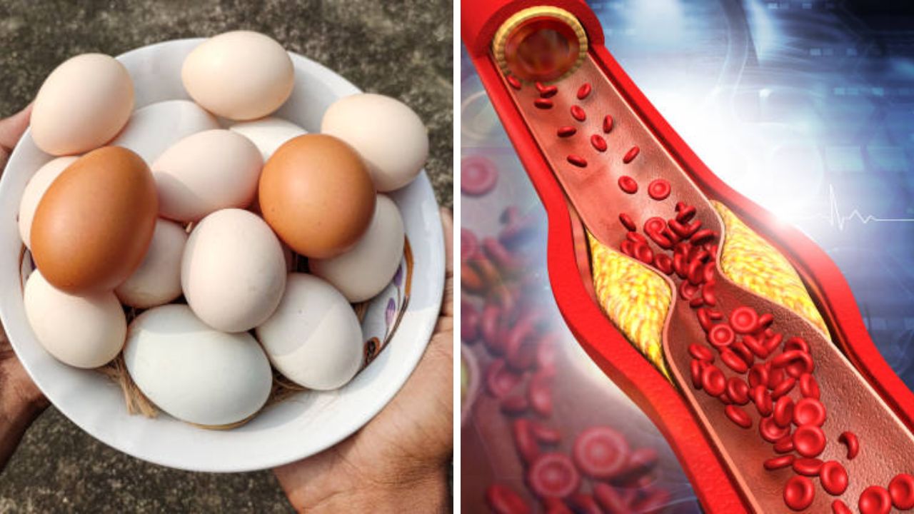 अंड्याचे सेवन केल्यास शरीरात कोलेस्ट्रॉल वाढते का? जाणून घ्या अंडी खाण्याची योग्य पद्धत आणि फायदे