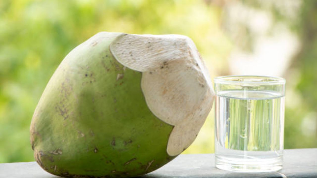 नारळ पाणी नैसर्गिक इलेक्ट्रोलाईट्सचा उत्तम स्त्रोत आहे. एक नारळ पाणी एका सलाईन एवढे फायदेशीर ठरते. त्यामुळे आठवड्यातून दोनदा किंवा तीनदा नारळ पाण्याचे सेवन करावे. 