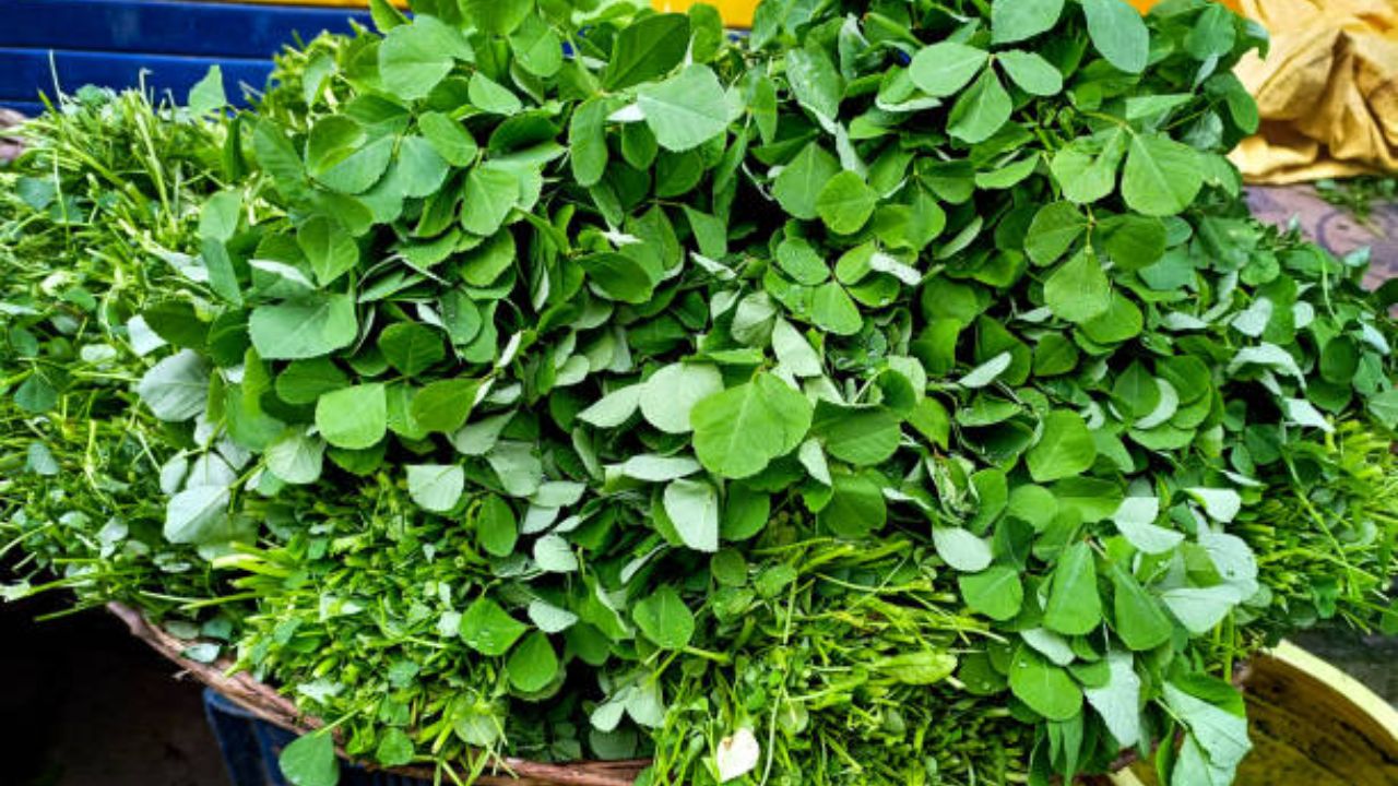 हिरव्या पालेभाज्यांचा रोजच्या आहारात समावेश करावा. मेथीच्या पानांची भाजी सगळ्यांचं खायला खूप जास्त आवडते. त्यामुळे आठवड्यातून दोनदा तुम्ही मेथीच्या भाजीचा आहारात समावेश करू शकता.