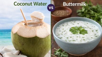 ताक की नारळ पाणी? कडाक्याच्या उन्हाळ्यात शरीरासाठी कोणते पेय ठरेल सगळ्यात गुणकारी, जाणून घ्या सविस्तर