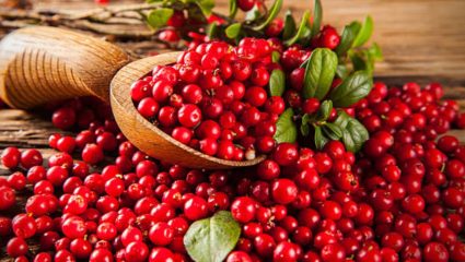 महिलांच्या आरोग्यासाठी वरदान ठरतील Cranberry! जाणून घ्या शरीराला होणारे जादुई फायदे