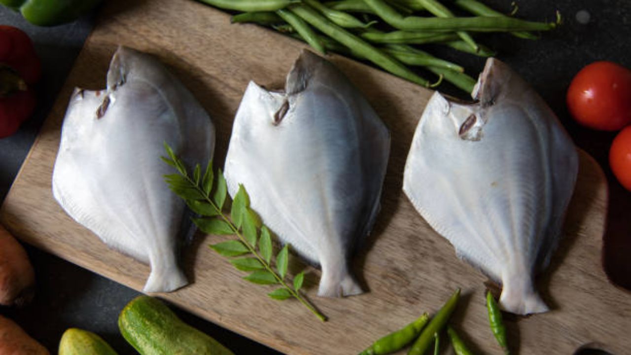 ‘हा’ आहे महाराष्ट्राचा राज्यमासा! पाहताच क्षणी सुटेल तोंडाला पाणी, जाणून घेऊया माशाबद्दल सविस्तर माहिती