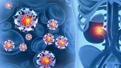 World Kidney Day: मूत्रपिंडाचे आरोग्य का आहे महत्वाचे? किडनी फेल झाल्यानंतर शरीरात दिसून येतात ‘ही’ गंभीर लक्षणे