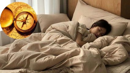 Vastu Tips: घरात झोपण्याची दिशा चुकीची असल्यास होऊ शकते नुकसान, जाणून घ्या योग्य नियम