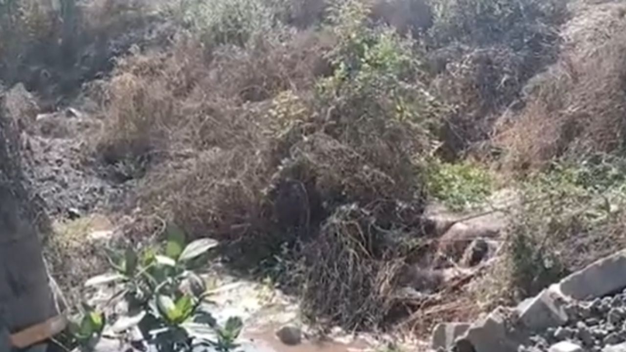 Virar : जनतेचा पैसा वाया? जाम गटारे, वाहतूक कोंडी आणि अपघाताचा धोका!