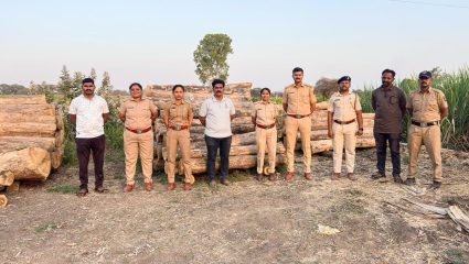 उंब्रज परिसरात तब्बल 25 लाखांचा लाकूड साठा जप्त; सातारा वनविभागाचे चार ठिकाणी छापे