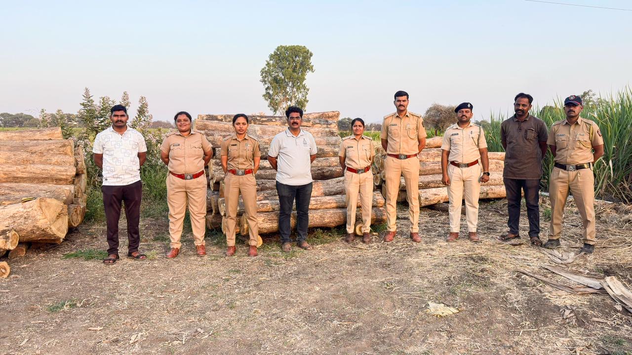 उंब्रज परिसरात तब्बल 25 लाखांचा लाकूड साठा जप्त; सातारा वनविभागाचे चार ठिकाणी छापे