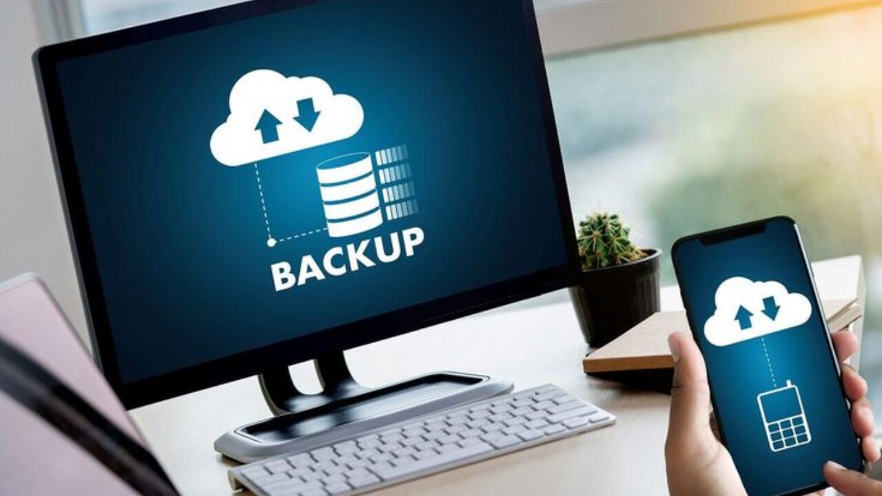 World Backup Day: तुमचा डिजिटल डेटा कसा ठेवाल सुरक्षित? बॅकअप घेण्याची सोपी पद्धत कोणती? वाचा सविस्तर