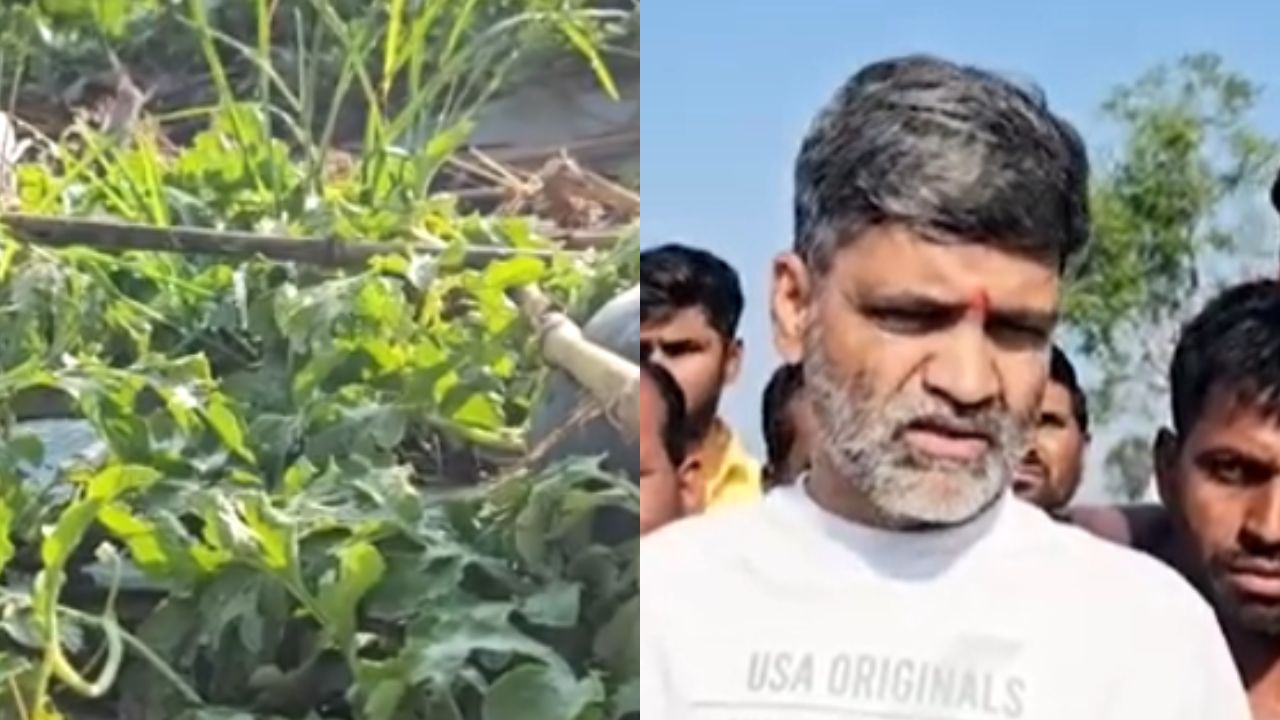 Ahilyanagar : अवकाळीने शेतकऱ्याच्या अश्रूंचा बांध फुटला! सरकारकडे निलेश लंकेंची मागणी