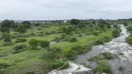 Solapur : आदिला नदीला नाला होऊ देणार नाही,महापालिकेच्या निर्णयाविरोधात पर्यावरणप्रेमी आक्रमक