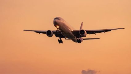 विमान प्रवास स्वस्त होणार! सरकारकडून ६० टक्के जागा मोफत ठेवण्याचे आदेश, मनमानी दर लावणाऱ्या विमान कंपन्यांना सरकारचा दणका