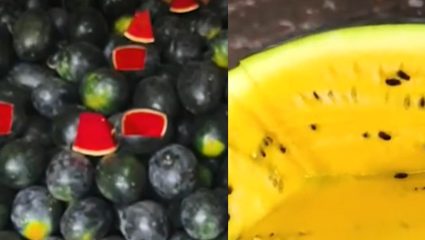 Navi Mumbai APMC Market : बाजारात लालसोबत पिवळ्या कलिंगडाची एंट्री, दरात 15 ते 20 रुपयांची मोठी घसरण