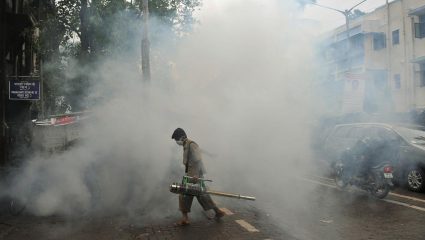 Mumbai News: भायखळ्यात मलेरियाचा विळखा! आतापर्यंत मनपा दवाखान्यात १२ रुग्ण मलेरियाग्रस्त