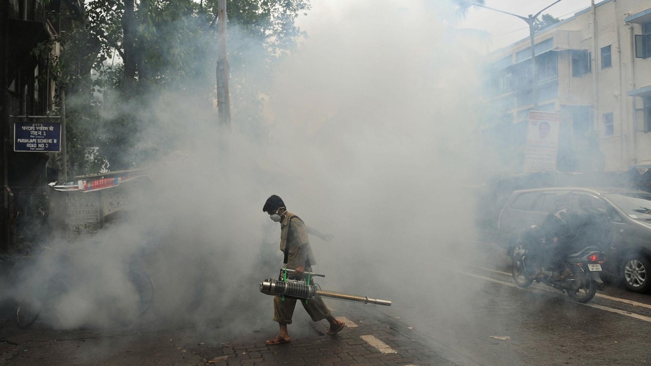 Mumbai News: भायखळ्यात मलेरियाचा विळखा! आतापर्यंत मनपा दवाखान्यात १२ रुग्ण मलेरियाग्रस्त