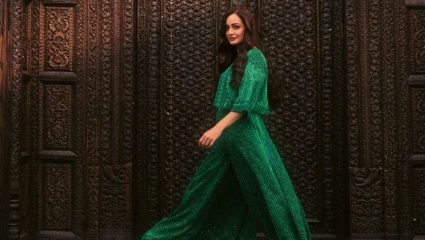 करिअरच्या सुरुवातीला फ्लॉप चित्रपट, अभिनेत्रीला म्हटलं गेलं ‘पनौती’; रणबीर कपूरच्या चित्रपटामुळे बदललं आयुष्य