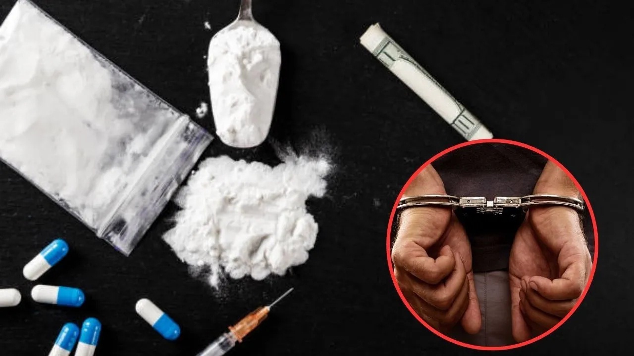 सीमा शुल्क विभागाची मोठी कारवाई; सणसवाडीत तब्बल 1.79 कोटींचे मेफेड्रॉन जप्त