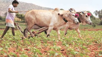 कृषी क्षेत्रासमोर नवे आव्हान! बदलत्या परिस्थितीत शेतकरी अडचणीत
