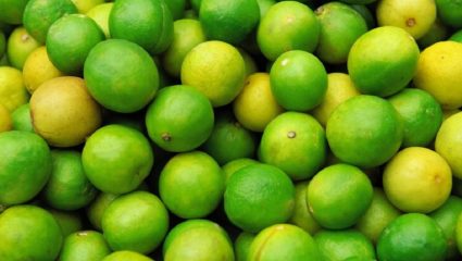 Lemon Price : उन्हाची चाहूल लागताच लिंबाच्या दरात झपाट्याने वाढ; एका किलोचा दर…