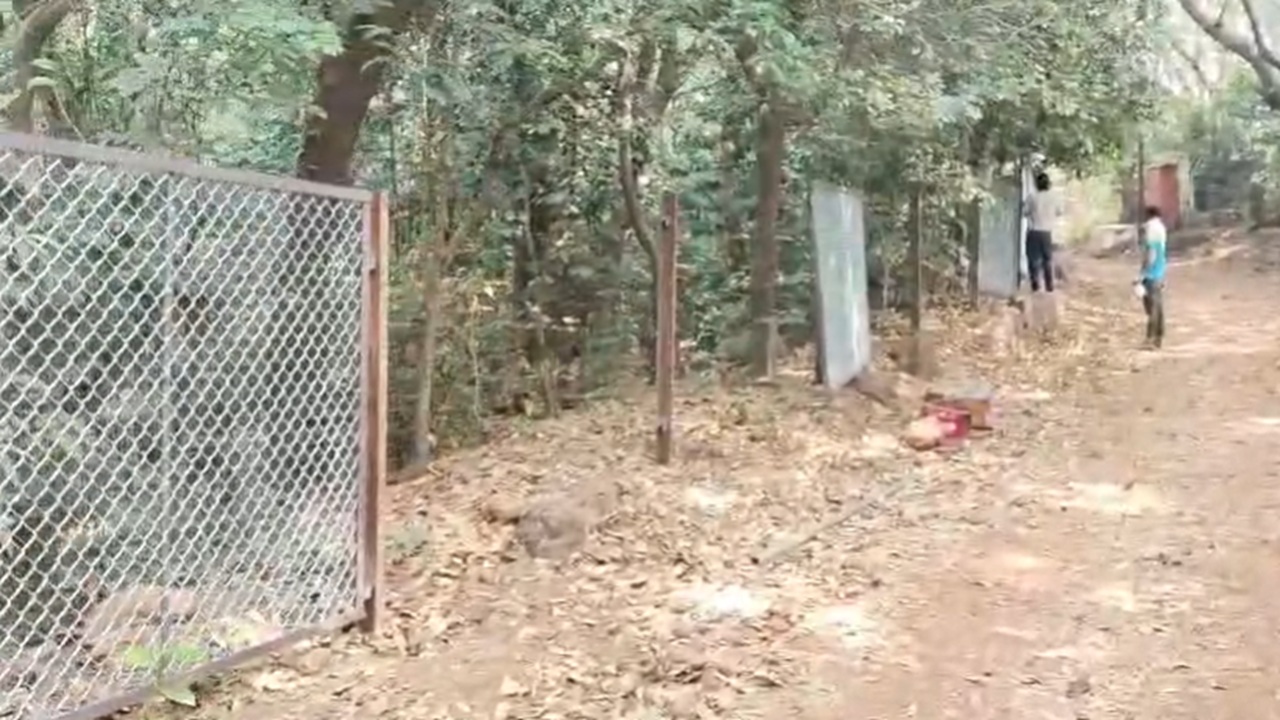 Matheran News: माथेरानमधील एल्फिन्स्टन बंगल्याला तारेचे कुंपण हटवलं, वन्य प्राण्यांच्या आदिवासाचा प्रश्न सुटला
