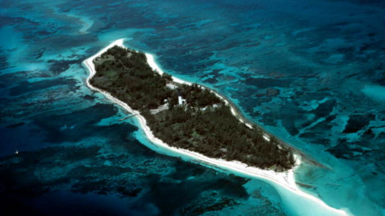 जगण्याची जिद्द की वेडेपणा? जेव्हा मरण समोर होतं… तेव्हा त्याने संपूर्ण बेटच पेटवून दिलं! समुद्राच्या थरारातून सुटका