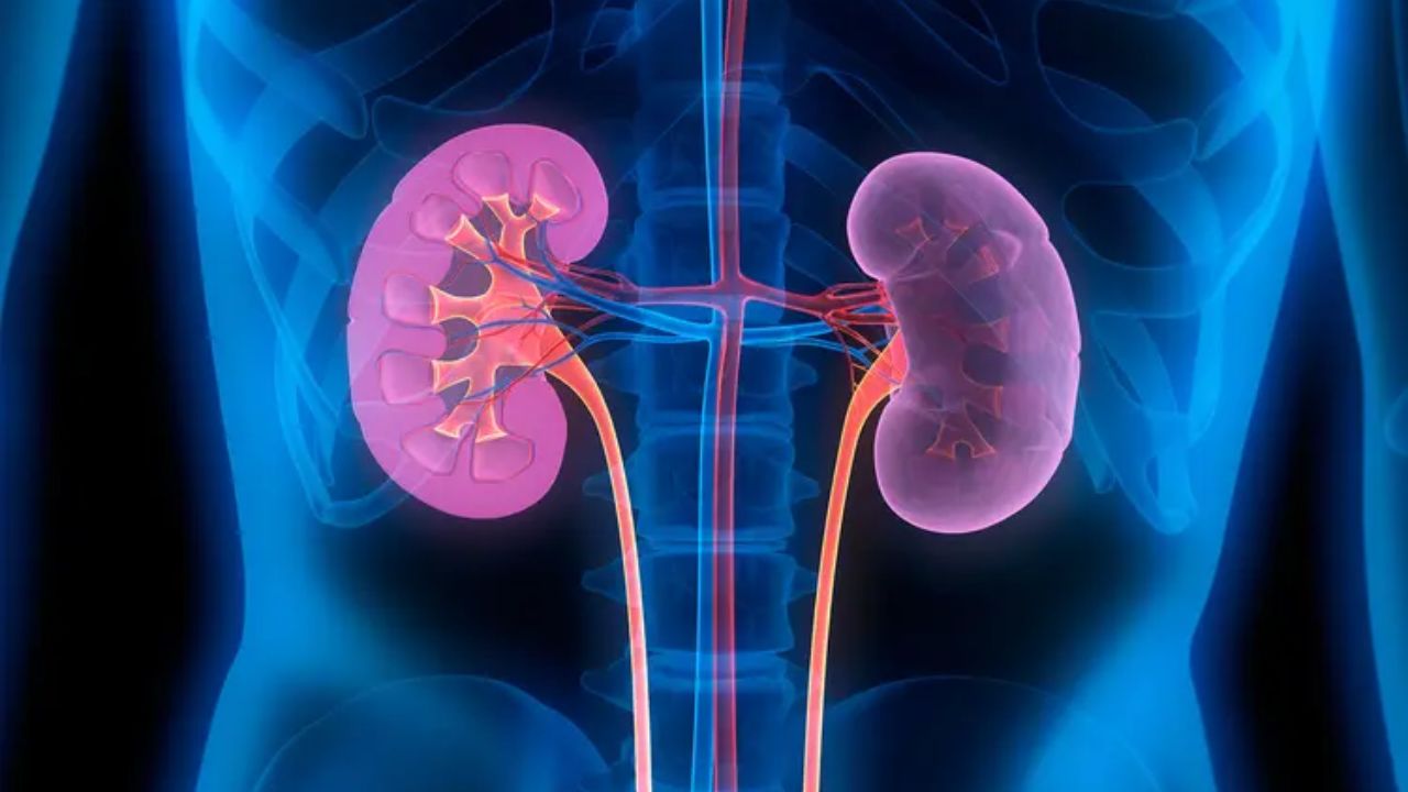 ICRAS हे वेब-आधारित टूल लाँच! हृदय व मूत्रपिंडाच्या आजारांचा धोका लवकर येणार ओळखता