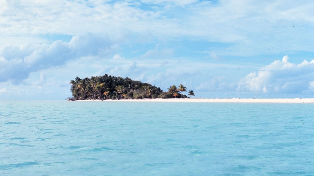 आगीच्या धुराने वाचवला जीव! 8 वर्ष काढली कच्च्या मांसावर; वयाची 70 ओलांडली तरी संघर्ष मोठा