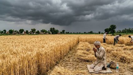 Nagpur News : पीक काढणीच्या तोंडावर अवकाळी; बळीराजा हवालदिल