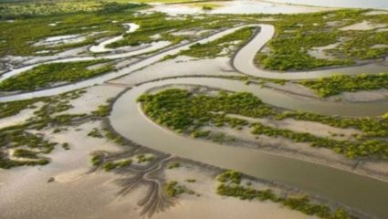 Nashik News : दुष्काळग्रस्त गावांना मिळणार दिलासा; दमणगंगा-वैतरणा-गोदावरी-देव नदीजोडसाठी शासनाकडून निधी मंजूर