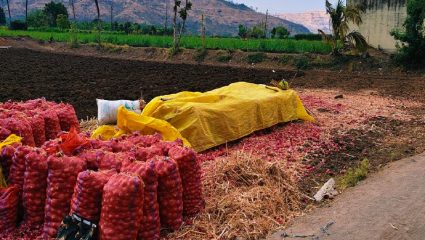 ओतूर परिसरात अवकाळीचे सावट; कांदा उत्पादक शेतकऱ्यांची मोठी धावपळ