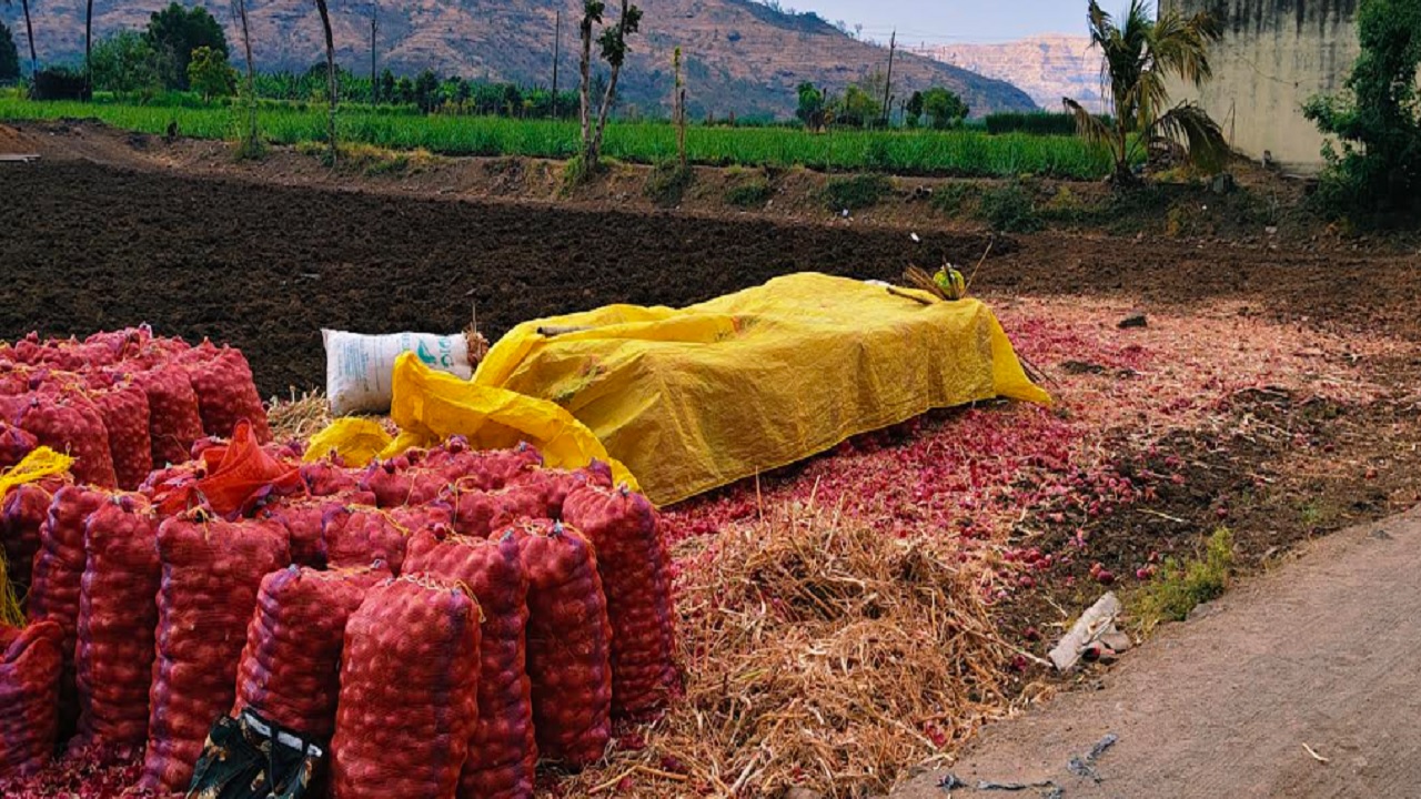 ओतूर परिसरात अवकाळीचे सावट; कांदा उत्पादक शेतकऱ्यांची मोठी धावपळ