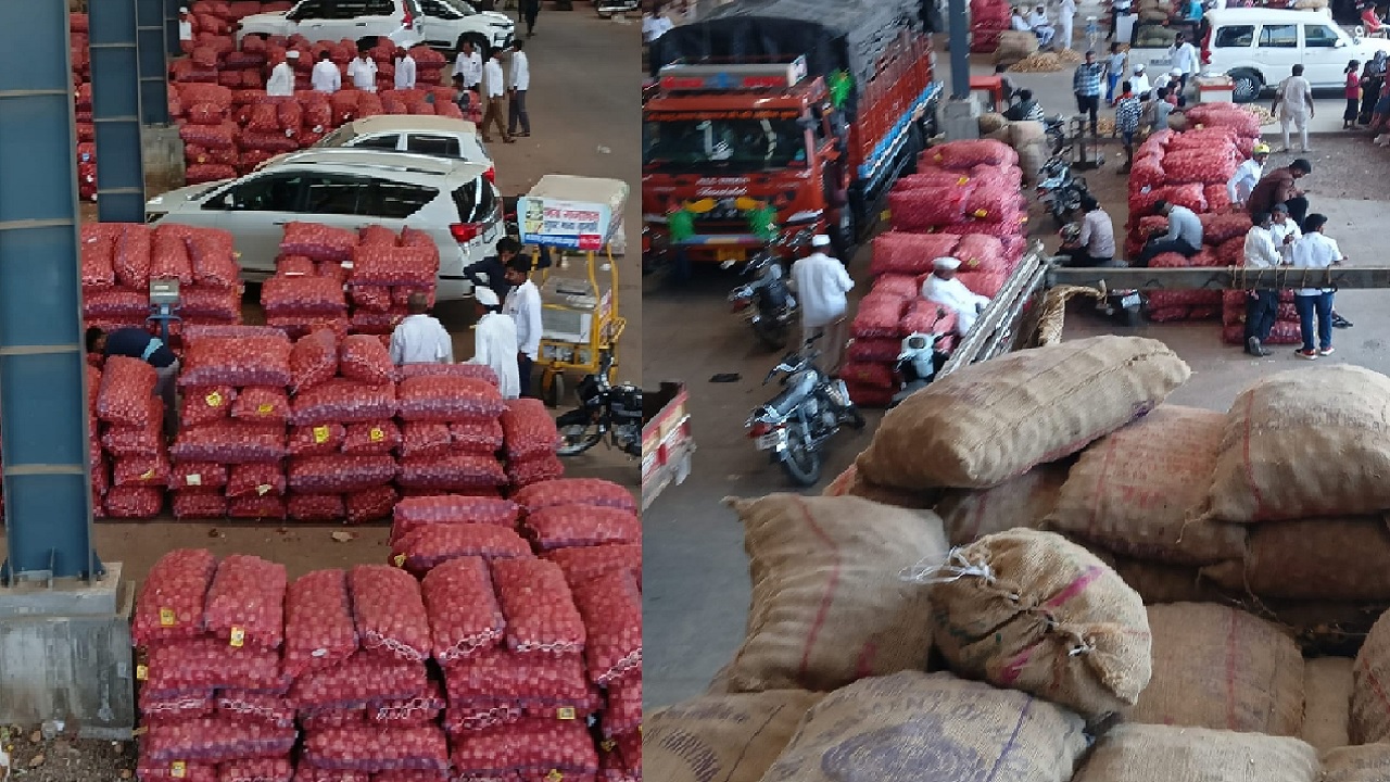 Onion Price : चाकण कृषी उत्पन्न बाजार समितीत कांद्याचा बाजार कोसळला; प्रतिकिलो दर किती?