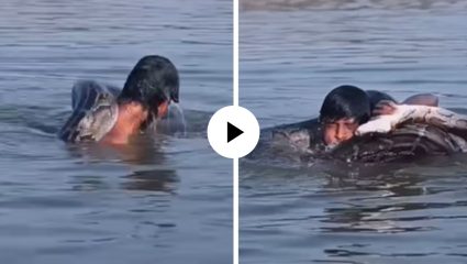 तलावात डुबकी मारताच अजगराने व्यक्तीच्या शरीराला वेढले, गळ्याभोवती घातला पिंगा अन्… घटनेचा थरारक Video Viral