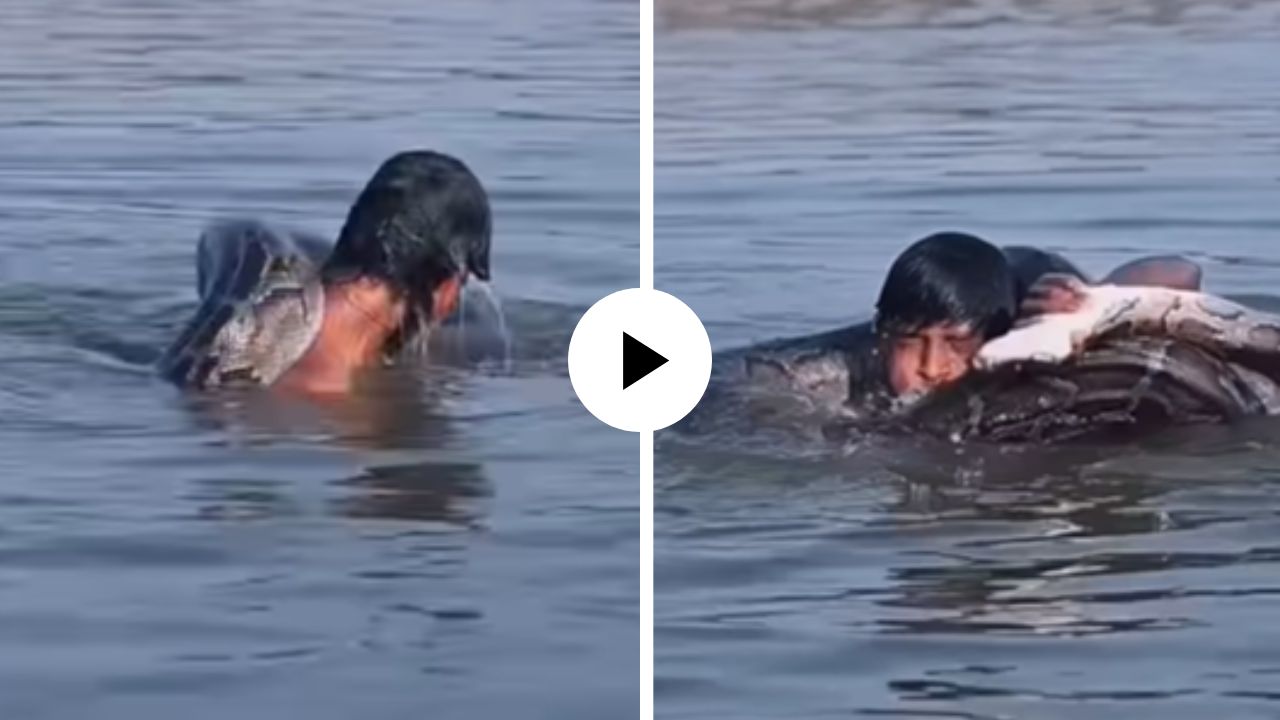 तलावात डुबकी मारताच अजगराने व्यक्तीच्या शरीराला वेढले, गळ्याभोवती घातला पिंगा अन्… घटनेचा थरारक Video Viral