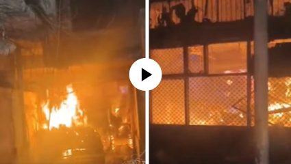 दिल्लीत पुन्हा आगीचं तांडव, शेख सराईतील इमारत आगीत जळून खाक; भीषण घटनेचा Video Viral