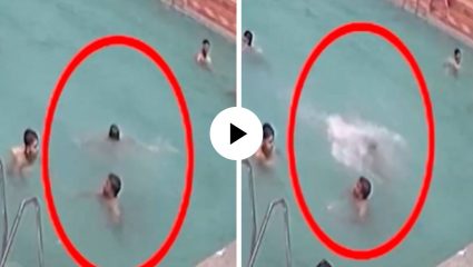 पाण्यात उतरला अन् तिथेच अडकला! लोकांना वाटलं ड्रामा करतोय पण काही क्षणातच गेला व्यक्तीचा जीव… मृत्यूचा थरारक Video Viral