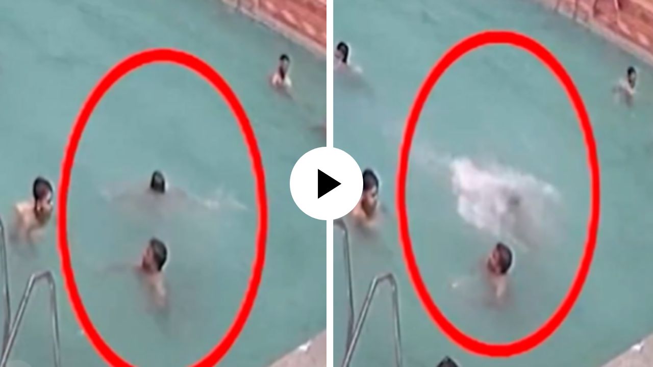 पाण्यात उतरला अन् तिथेच अडकला! लोकांना वाटलं ड्रामा करतोय पण काही क्षणातच गेला व्यक्तीचा जीव… मृत्यूचा थरारक Video Viral