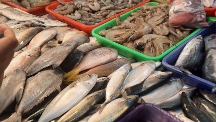 मध्यपूर्वेतील युद्धाचा मत्स्य व्यवसायावर परिणाम? कोकणातील कोळी बांधव चिंतेत