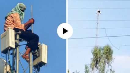 इस प्यार को क्या नाम दे…! प्रियकरासोबत लग्न करायचं म्हणून ताई थेट विजेच्या खांब्यावर जाऊन बसल्या; घटनेचा Video Viral