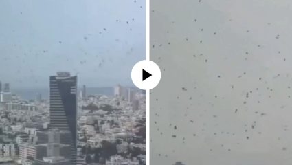 लवकरच मोठं संकट ओढवणार? Viral Video मध्ये असं काय दिसलं ज्याने संपूर्ण इंटरनेट हादरलं…