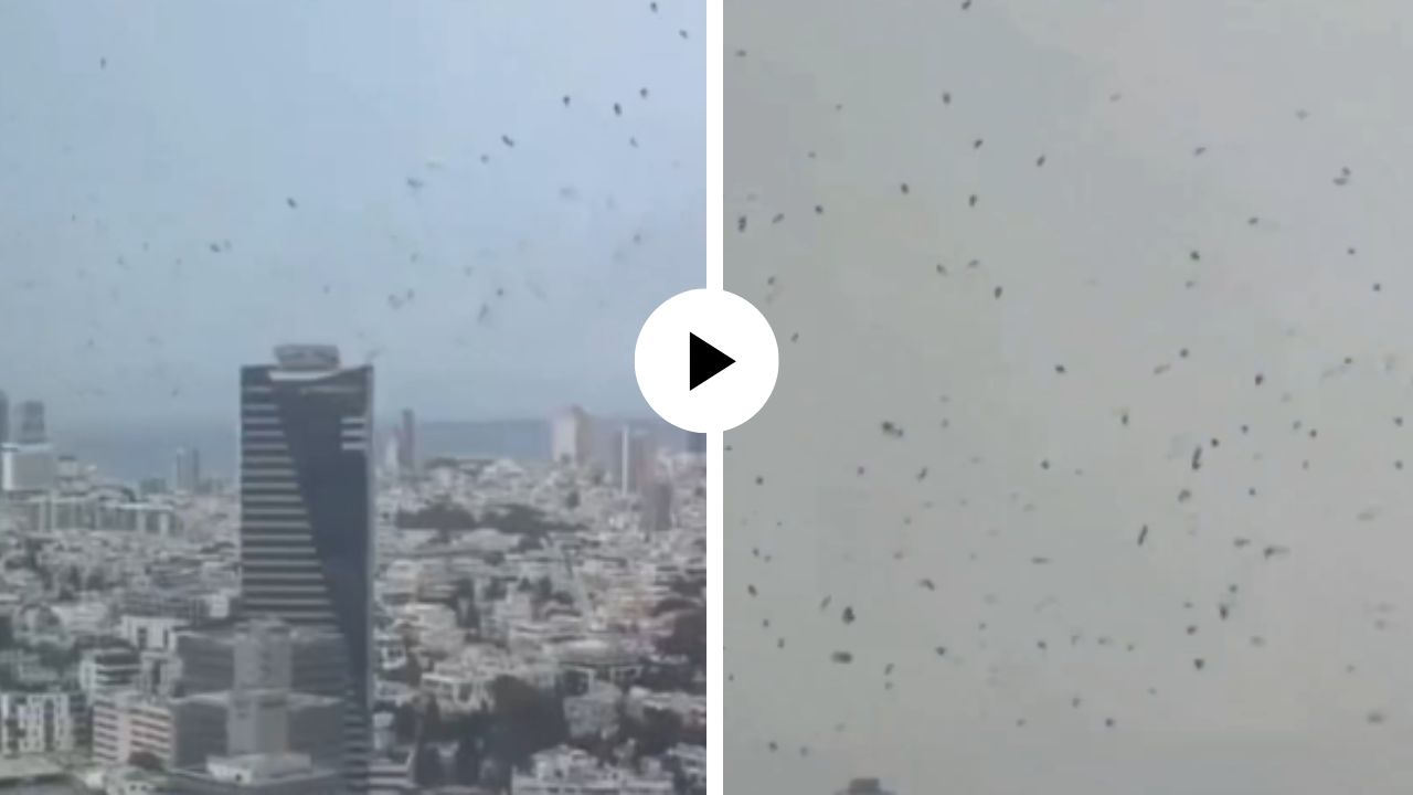 लवकरच मोठं संकट ओढवणार? Viral Video मध्ये असं काय दिसलं ज्याने संपूर्ण इंटरनेट हादरलं…