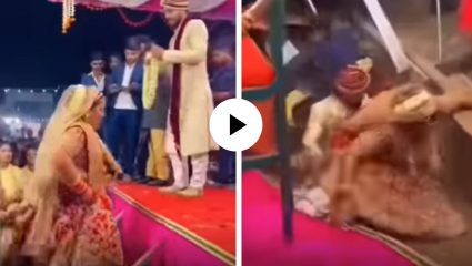 वरमाला घालण्याआधीच स्टेजची धूळ चाखली, स्टेज तुटला अन् वर-वधू थेट…. Viral Video पाहूनच येईल पोटभर हसू