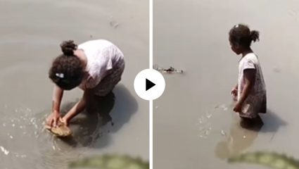 चिमुकलीच्या धाडसाला सलाम! थेट मगरीलाच मायेने कुरवाळू लागली अन् पाहणाऱ्यांच्या पोटात आला गोळा; Video Viral