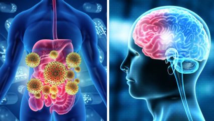 खराब पचन तुमची स्मरणशक्ती कमकुवत करू शकते; अभ्यासातून गट हेल्थ आणि मेंदूचा संबंध उघड झाला, वेळीच सावध व्हा!