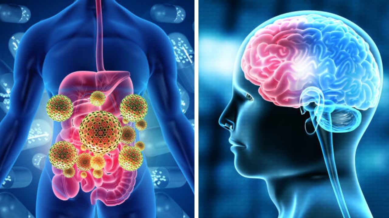 खराब पचन तुमची स्मरणशक्ती कमकुवत करू शकते; अभ्यासातून गट हेल्थ आणि मेंदूचा संबंध उघड झाला, वेळीच सावध व्हा!